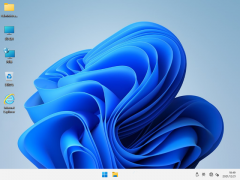 <font color='#FF0000'>Win11 64λ  רҵ v2025.05</font>